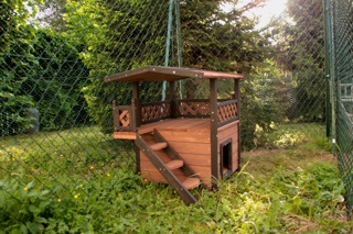 maison chat jardin