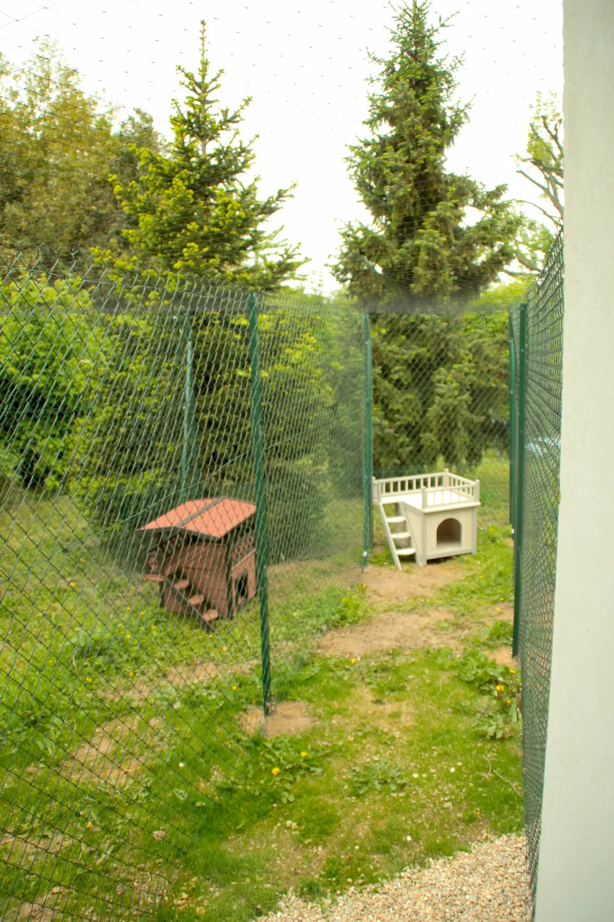Jardin sécurisé pour chats