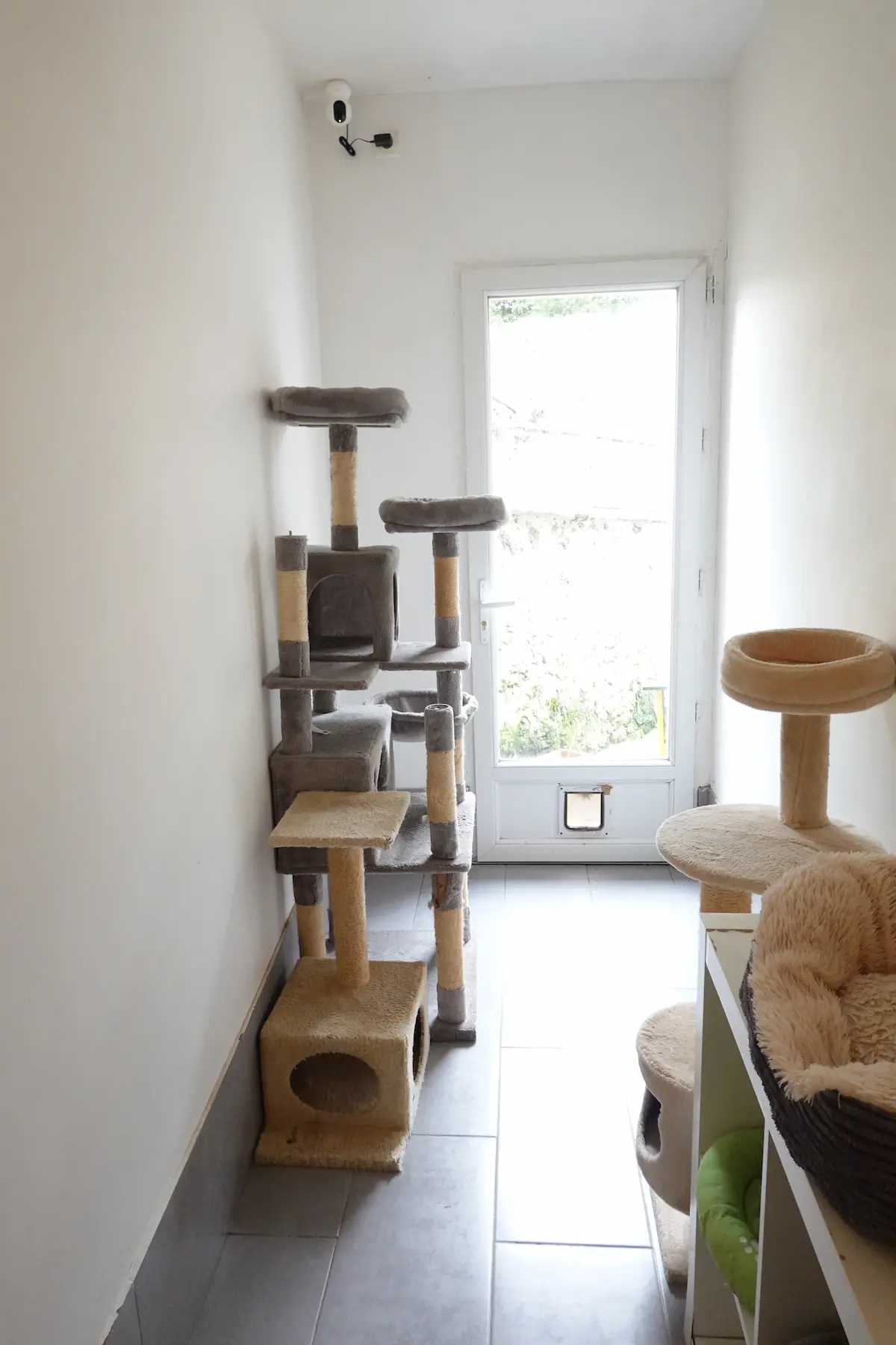 Les chambres de la Pension équipés de jeux et arbres à chats