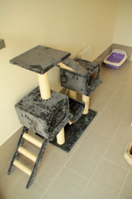 Les chambres de la Pension équipés de jeux et arbres à chats