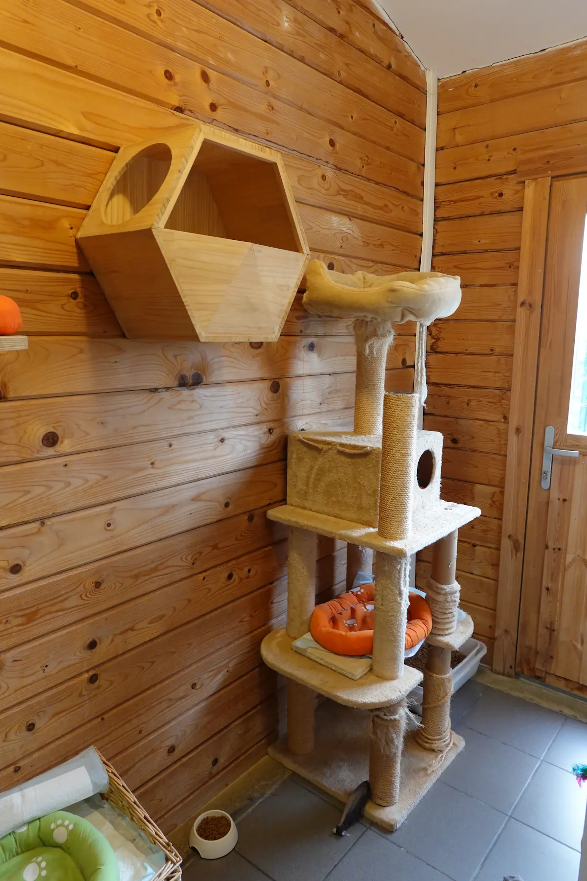 Les chambres de la Pension équipés de jeux et arbres à chats