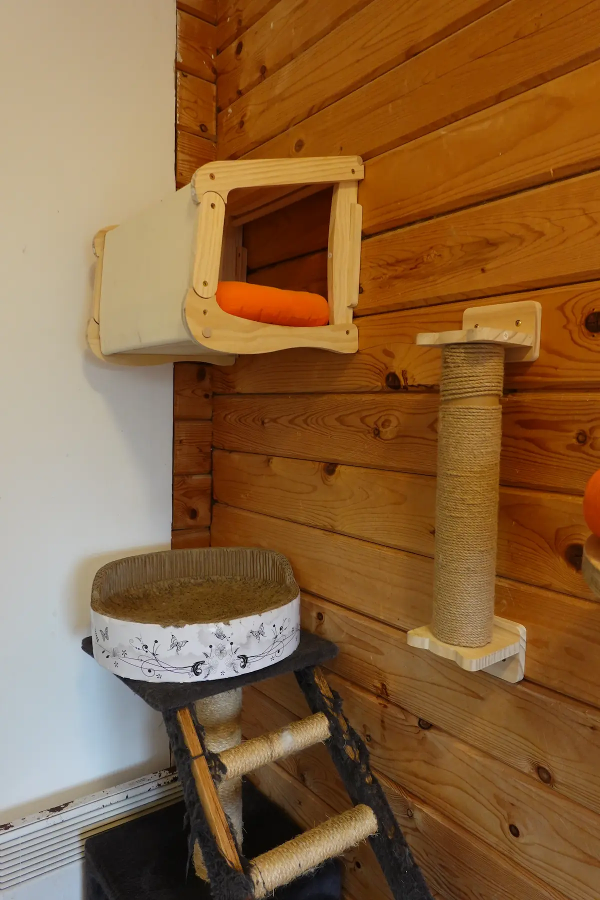 Les chambres de la Pension équipés de jeux et arbres à chats