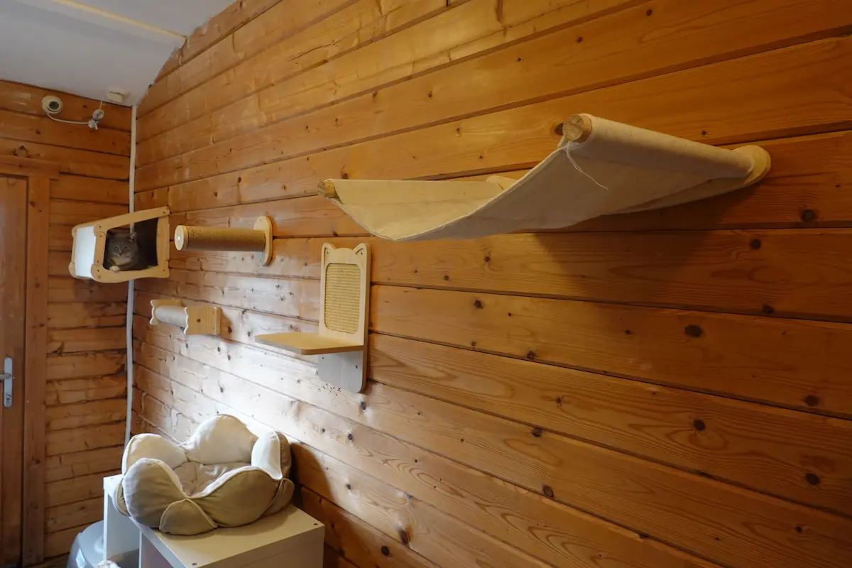 Les chambres de la Pension équipés de jeux et arbres à chats