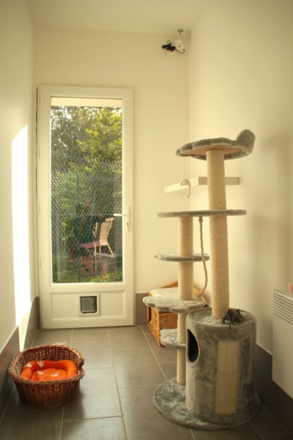 Les chambres de la Pension équipés de jeux et arbres à chats