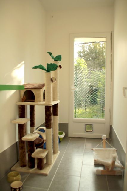 Les chambres de la Pension équipés de jeux et arbres à chats