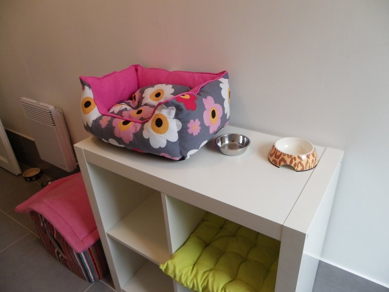 Les chambres de la Pension équipés de jeux et arbres à chats