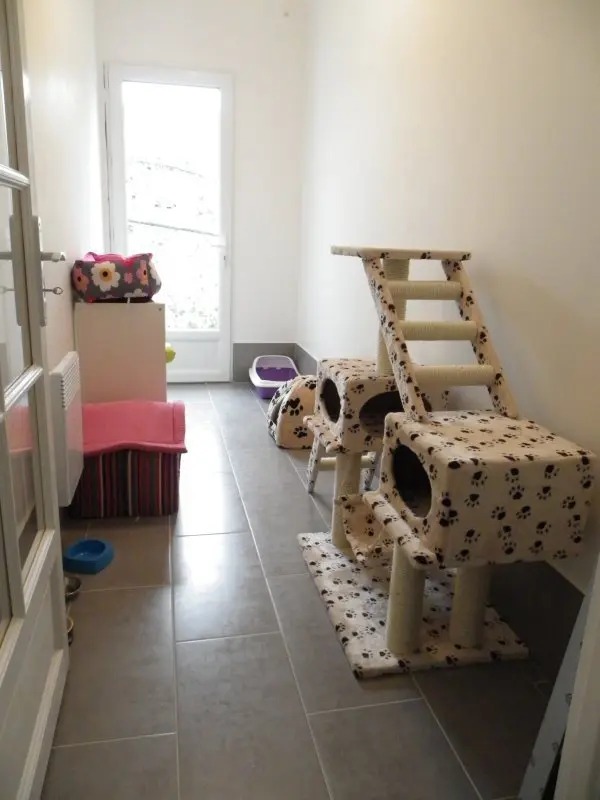 Les chambres de la Pension équipés de jeux et arbres à chats