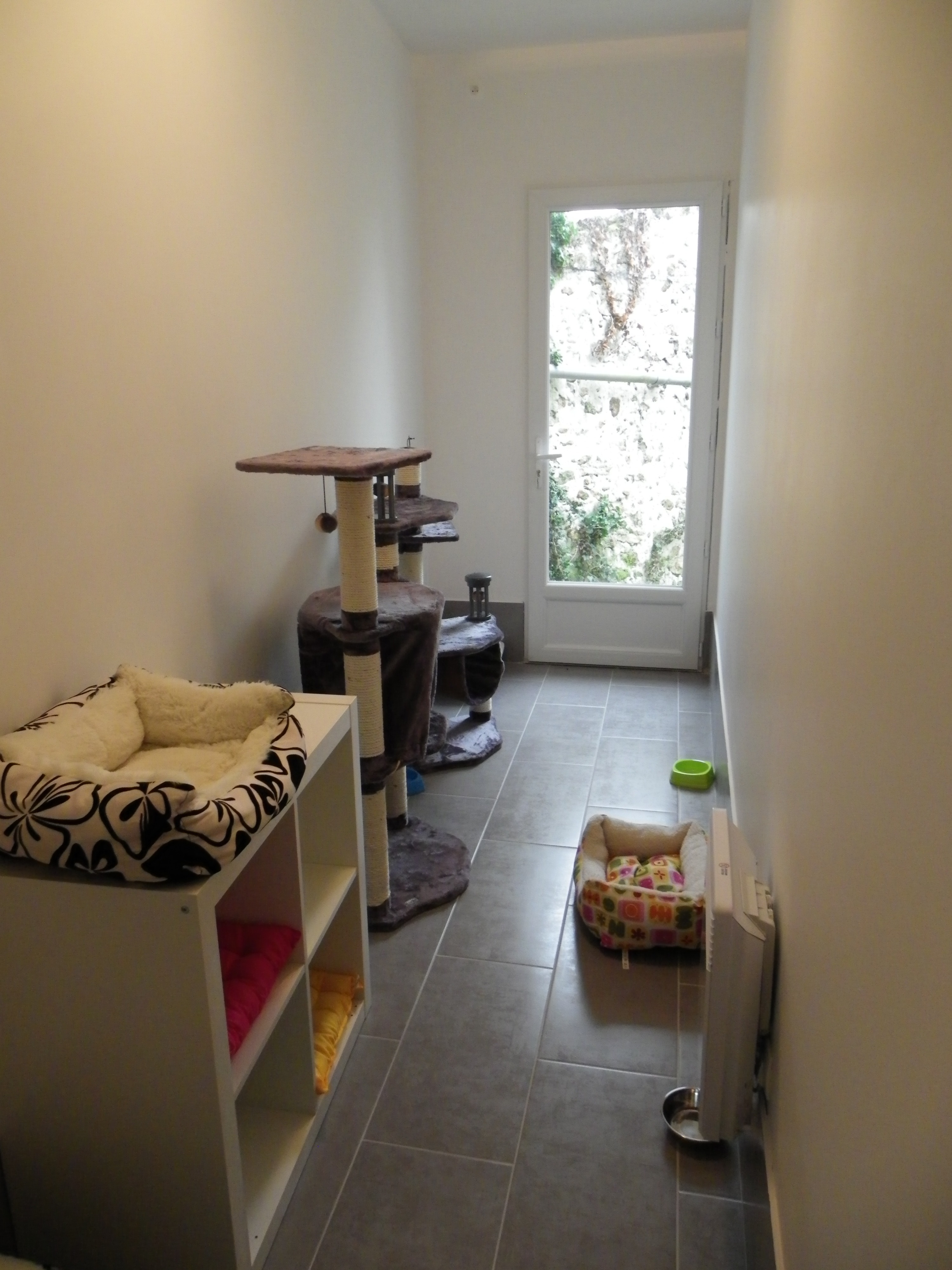 Les chambres de la Pension équipés de jeux et arbres à chats