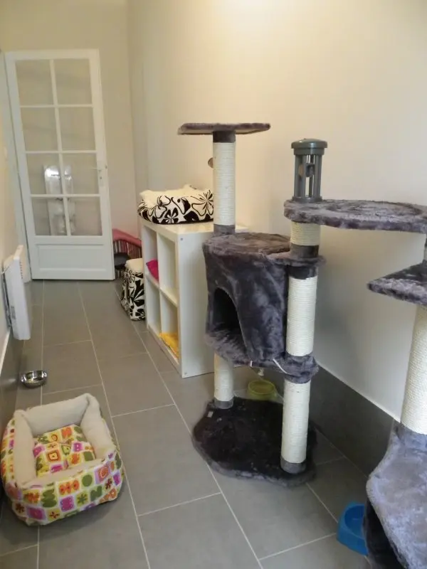 Les chambres de la Pension équipés de jeux et arbres à chats