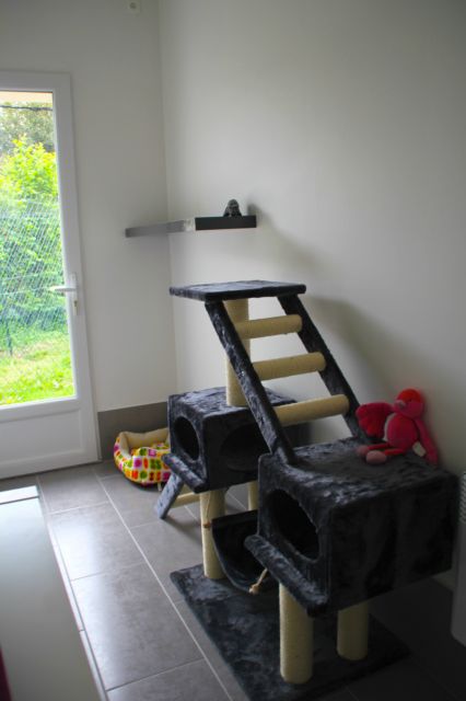 Les chambres de la Pension équipés de jeux et arbres à chats