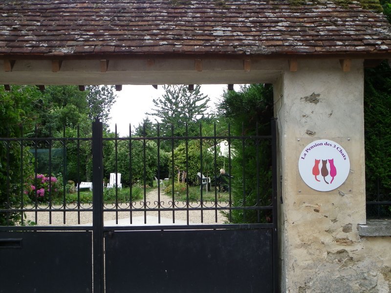 Les locaux de la Pension des 3 Chats