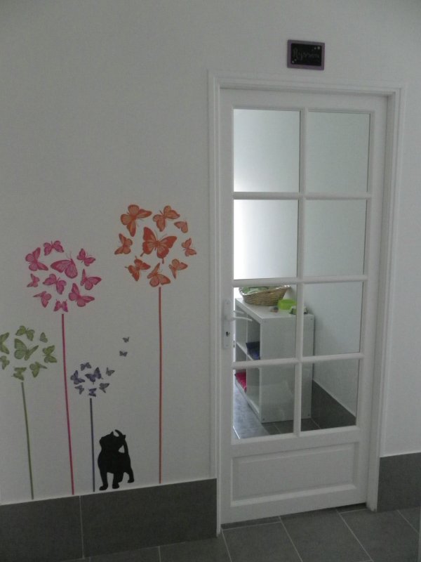 Les locaux de la Pension des 3 Chats