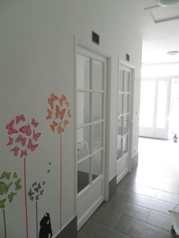 Les locaux de la Pension des 3 Chats