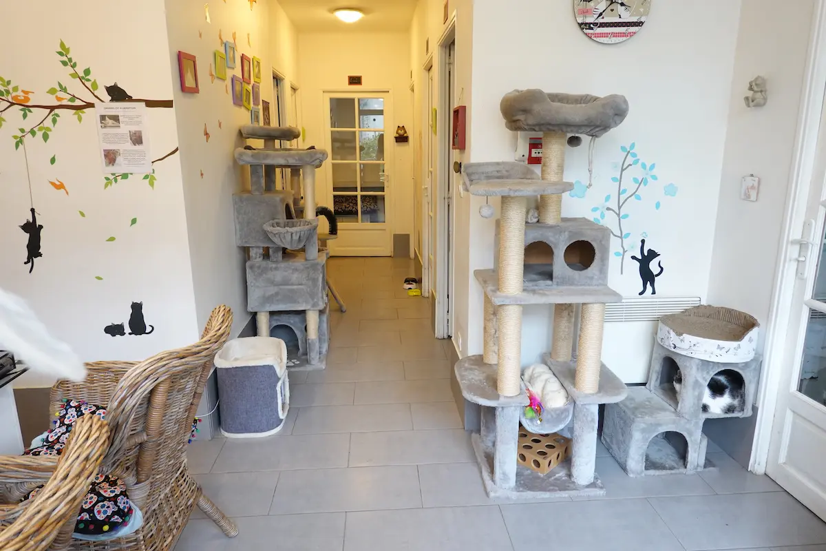 Les locaux de la Pension des 3 Chats