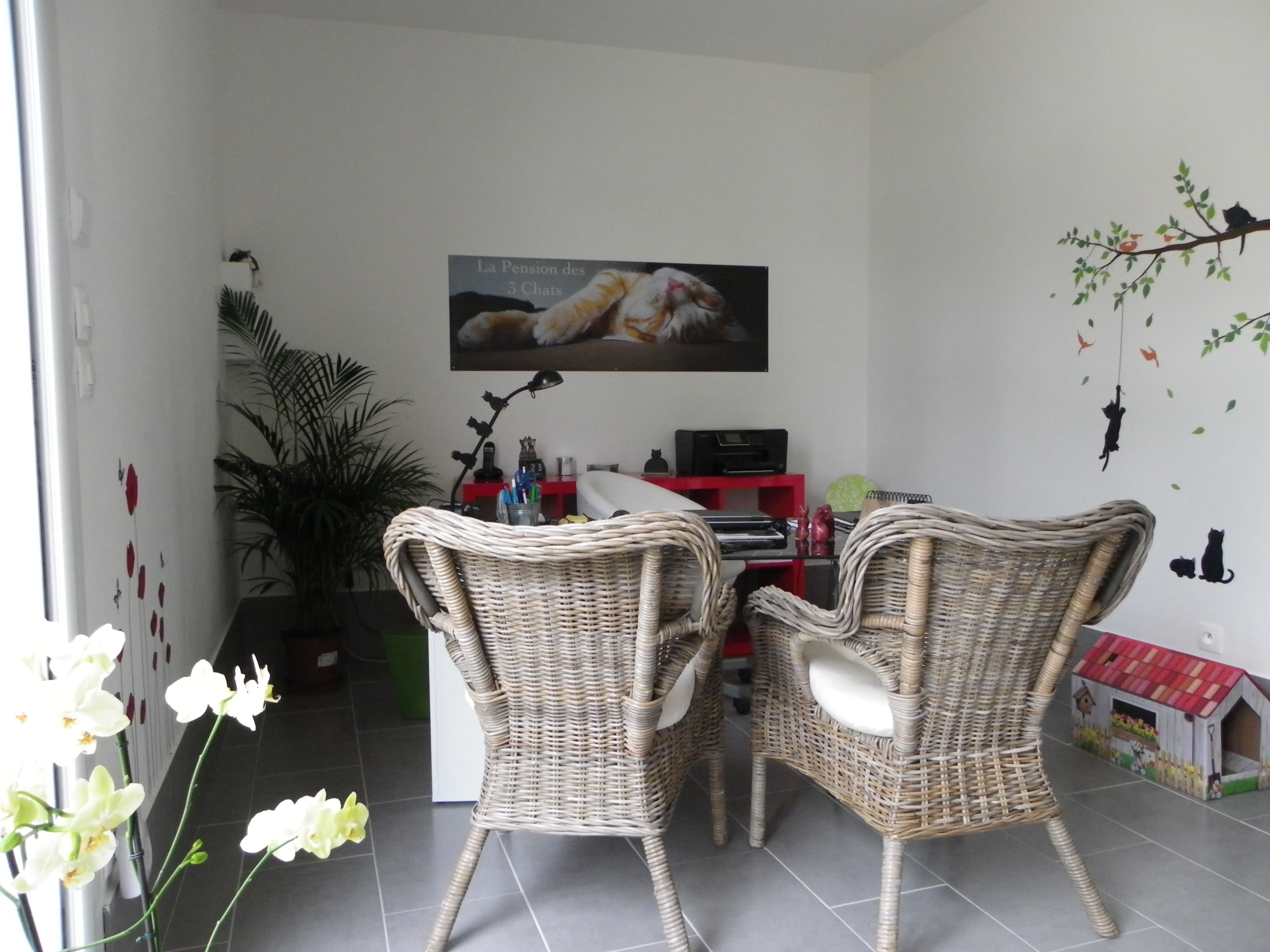 Les locaux de la Pension des 3 Chats