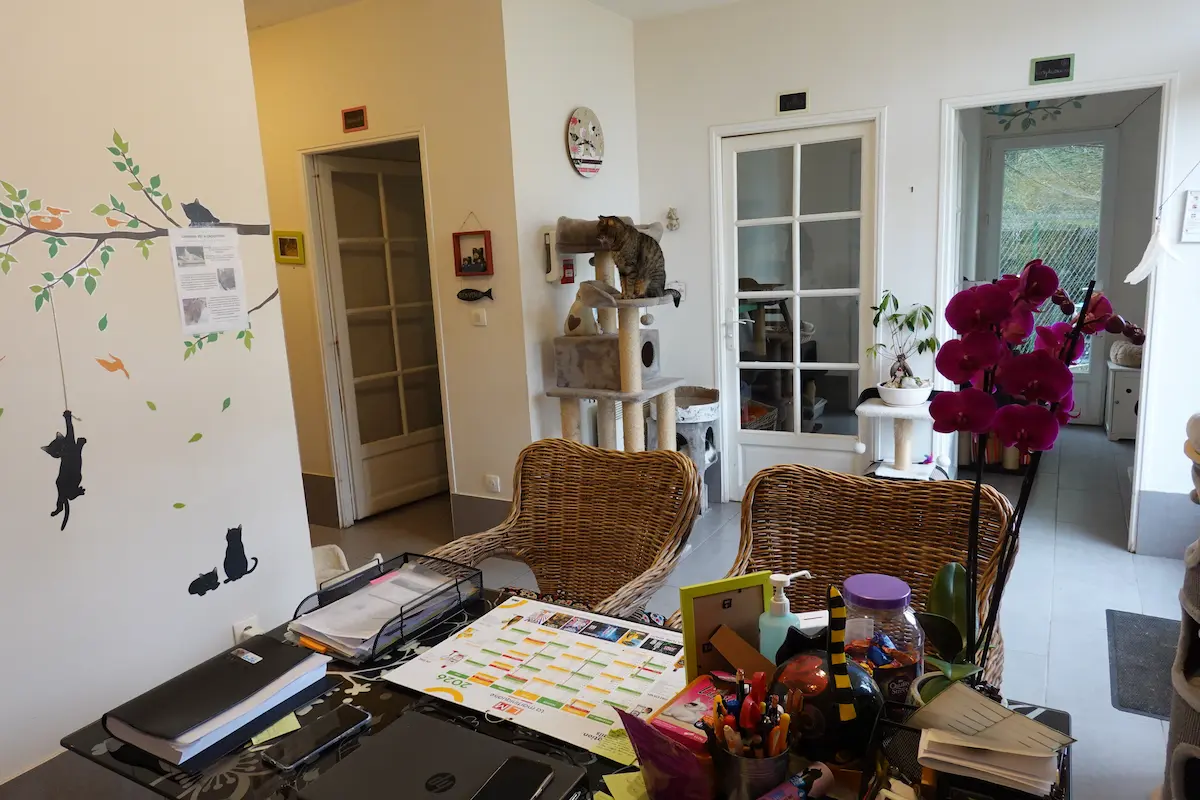 Les locaux de la Pension des 3 Chats
