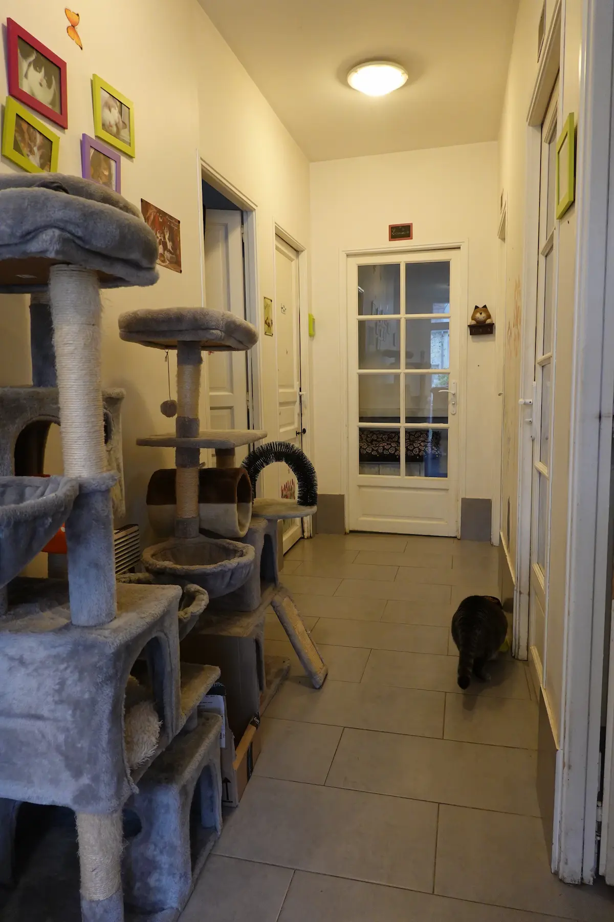Les locaux de la Pension des 3 Chats